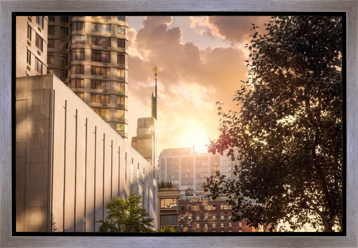 Manhattan Solace