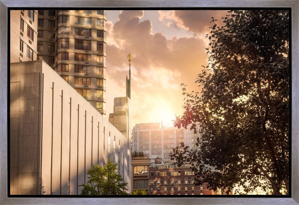 Manhattan Solace
