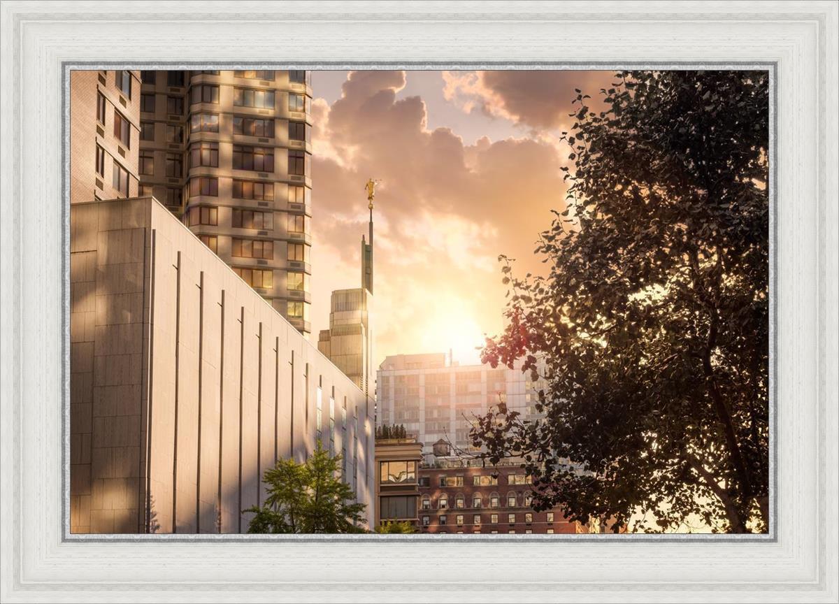 Manhattan Solace