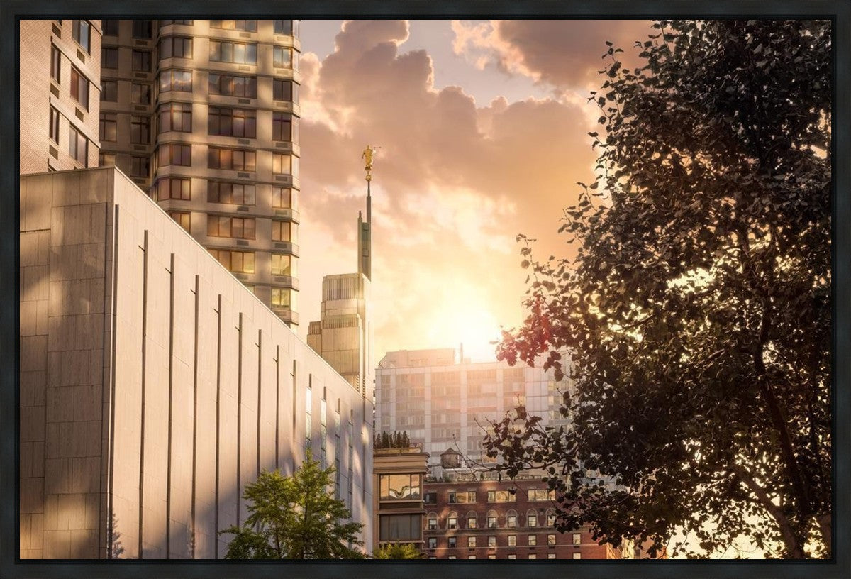 Manhattan Solace