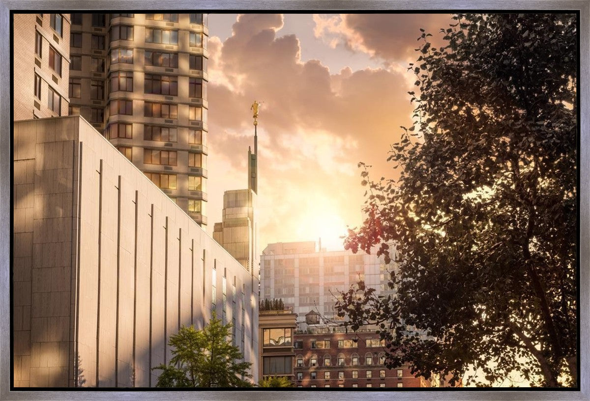 Manhattan Solace