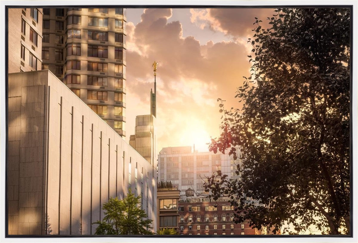 Manhattan Solace