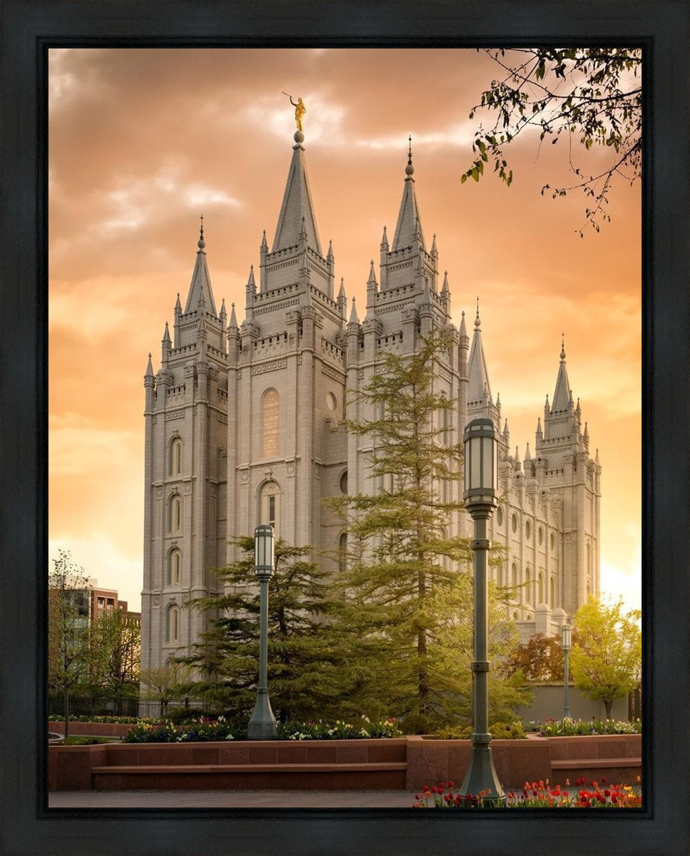 Salt Lake - The Promise Gallery Wrap