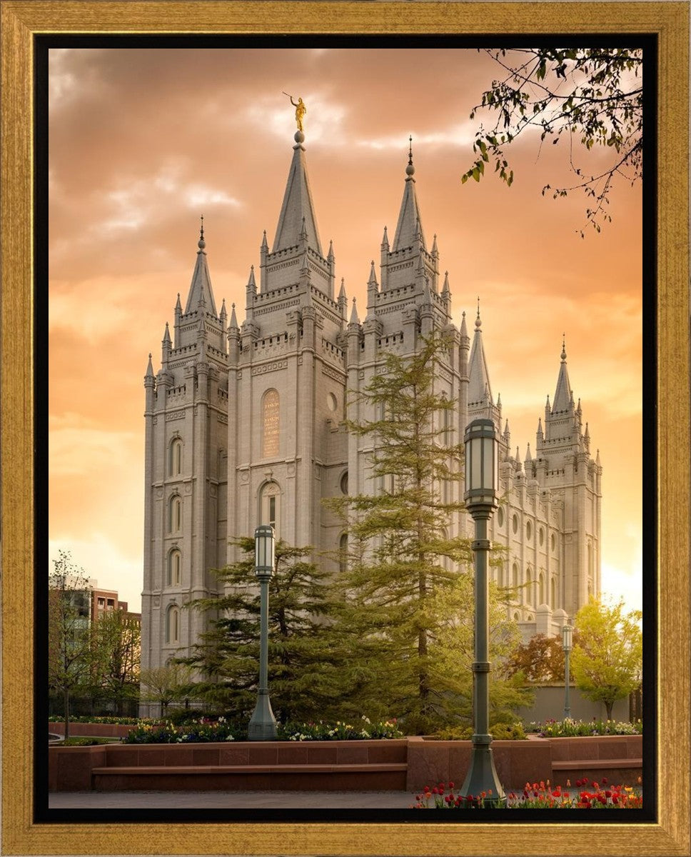 Salt Lake - The Promise Gallery Wrap