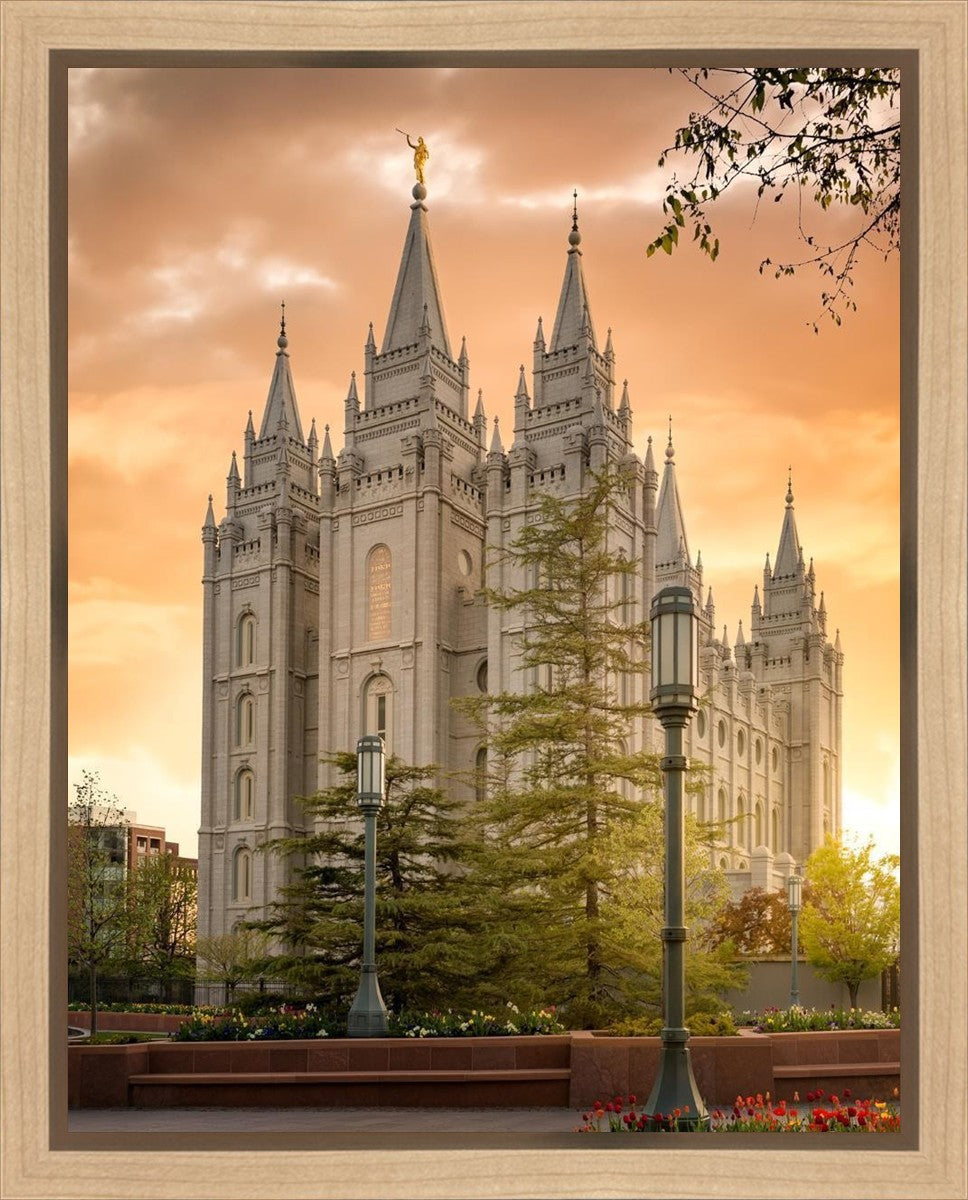 Salt Lake - The Promise Gallery Wrap