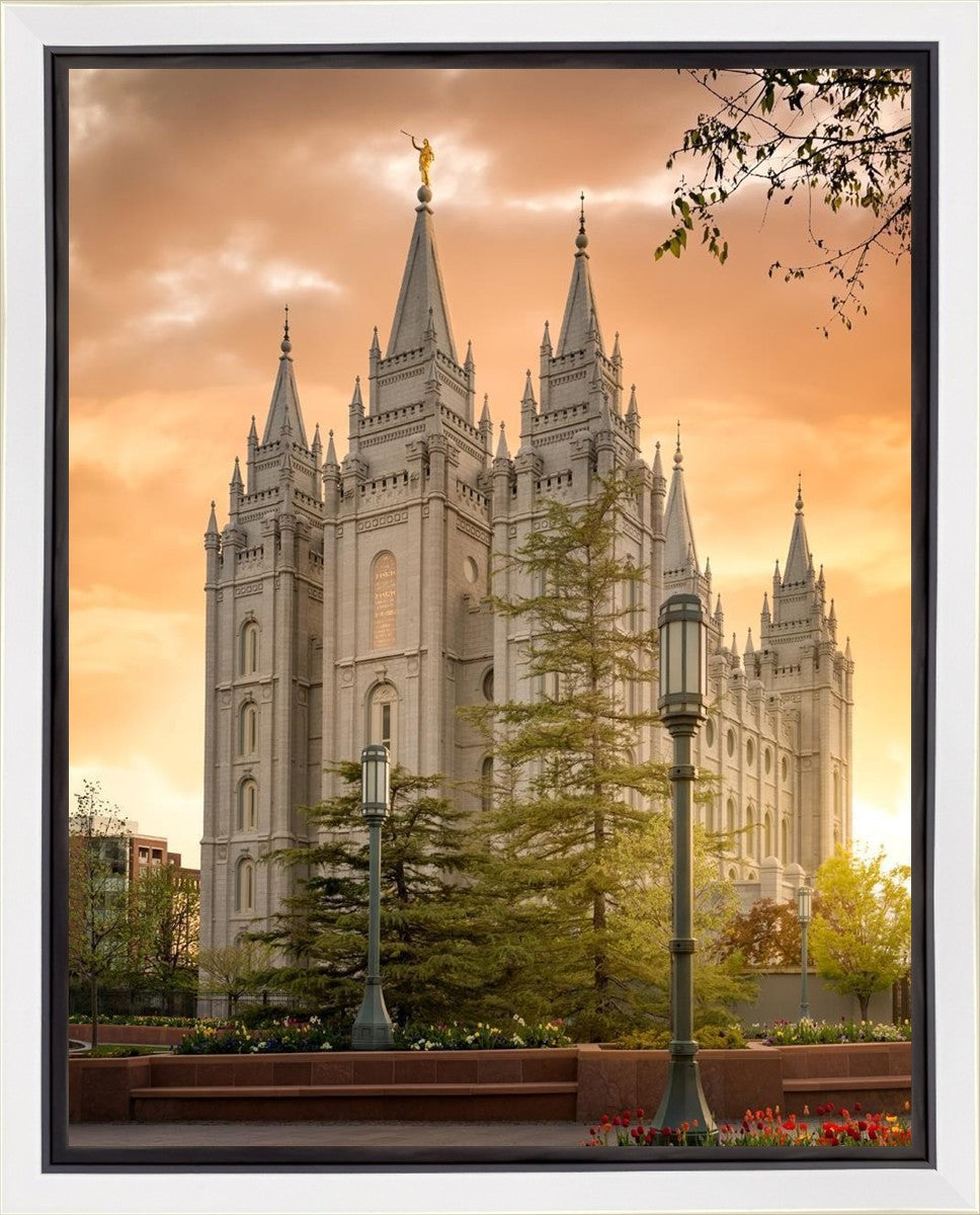 Salt Lake - The Promise Gallery Wrap