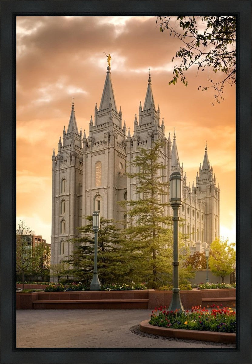 Salt Lake - The Promise Gallery Wrap