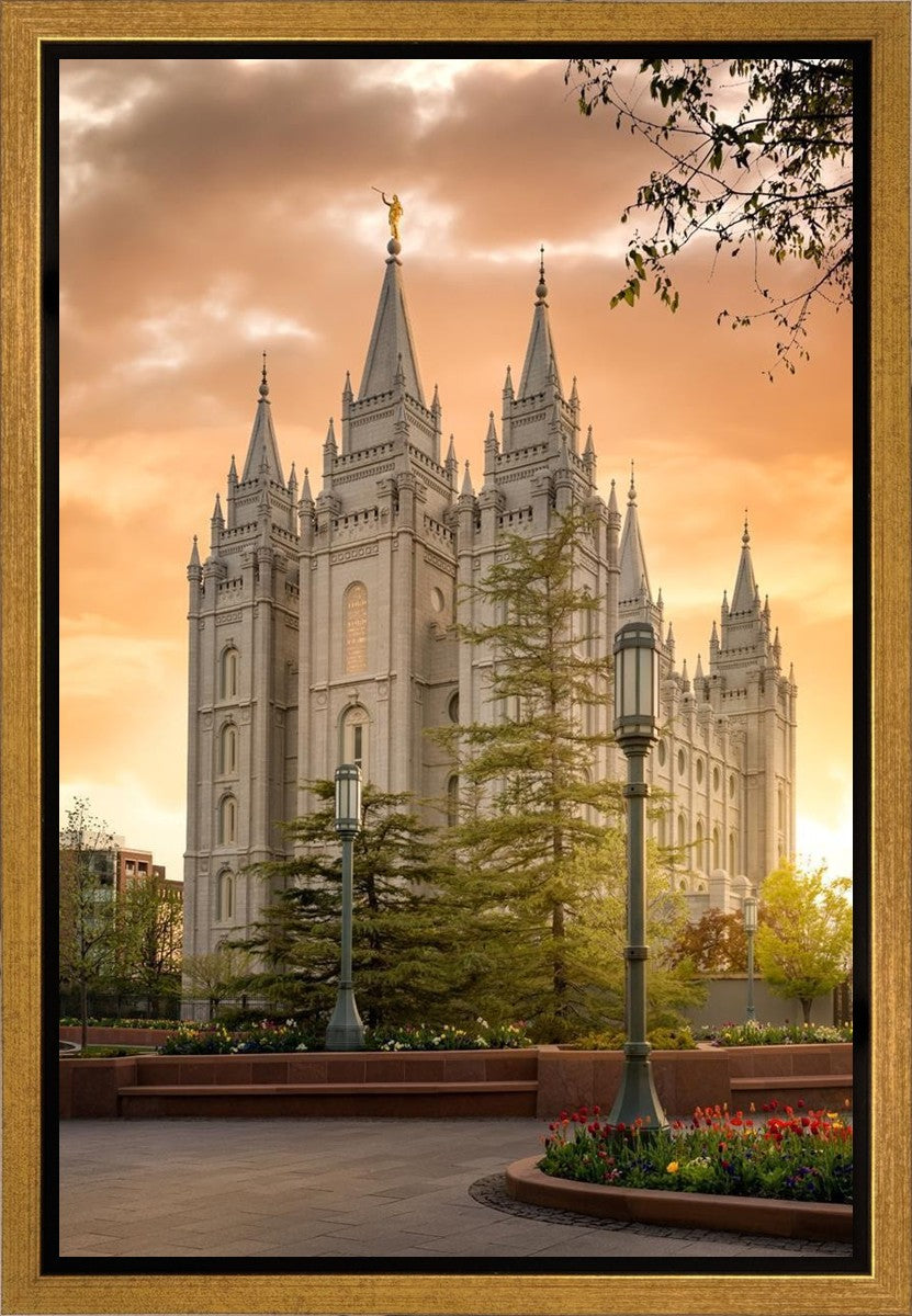 Salt Lake - The Promise Gallery Wrap