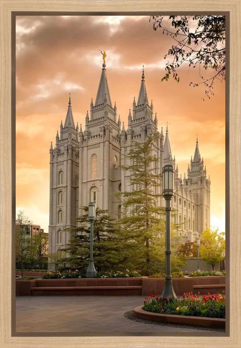 Salt Lake - The Promise Gallery Wrap