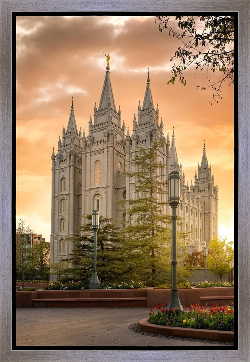 Salt Lake - The Promise Gallery Wrap