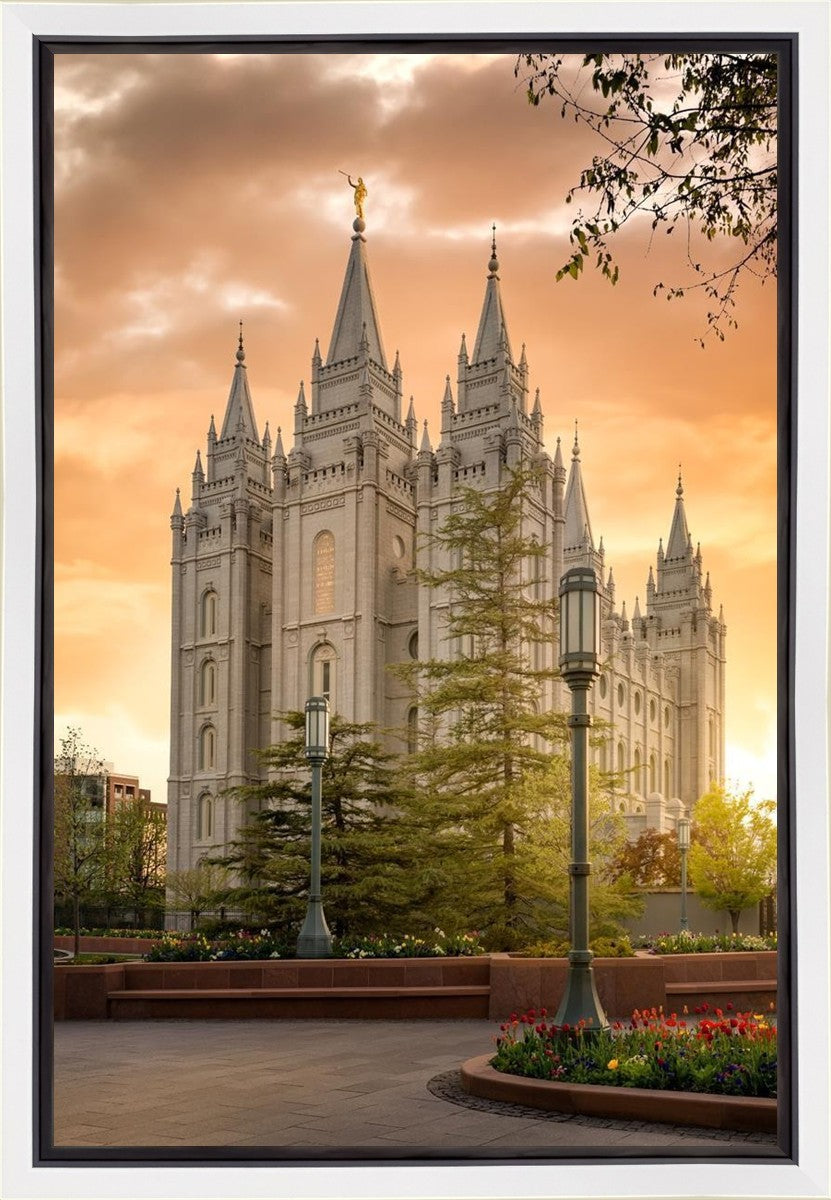 Salt Lake - The Promise Gallery Wrap