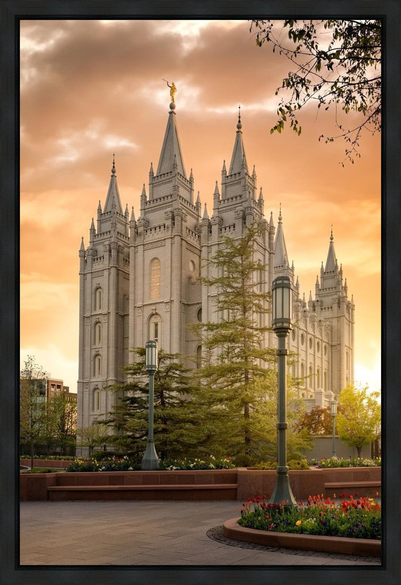 Salt Lake - The Promise Gallery Wrap
