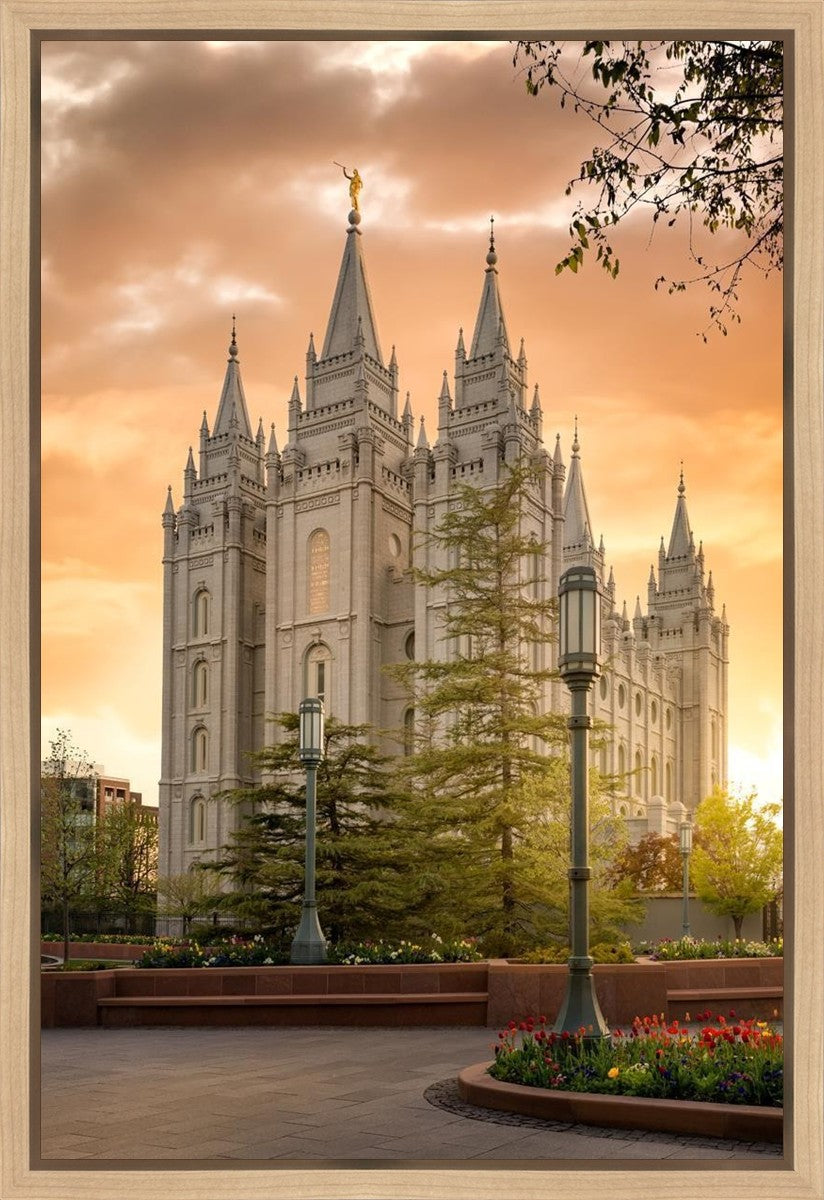 Salt Lake - The Promise Gallery Wrap