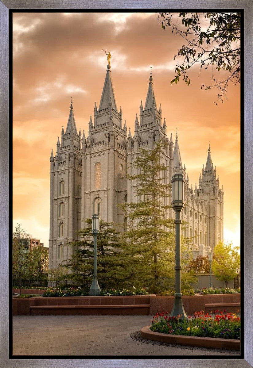 Salt Lake - The Promise Gallery Wrap