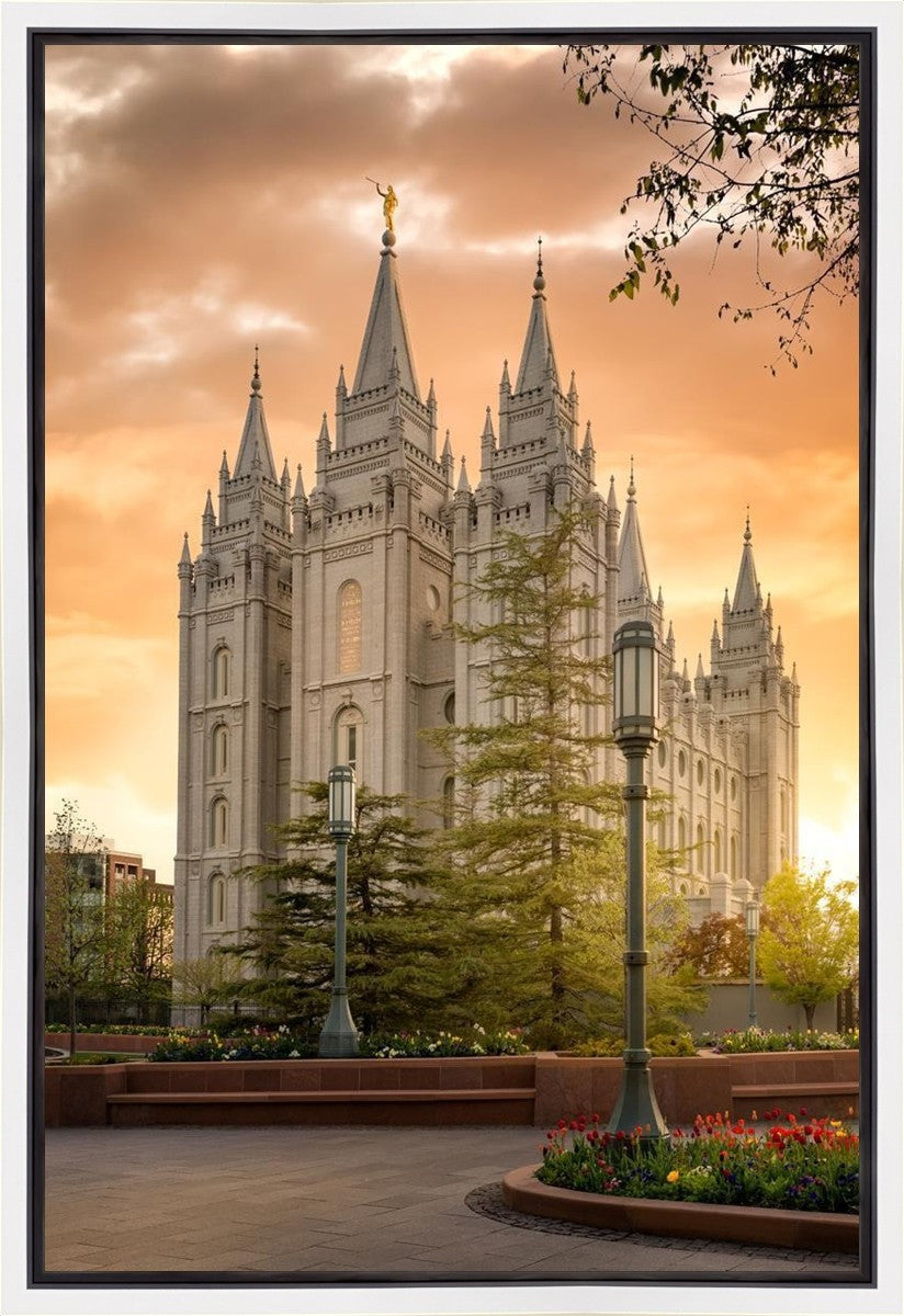 Salt Lake - The Promise Gallery Wrap