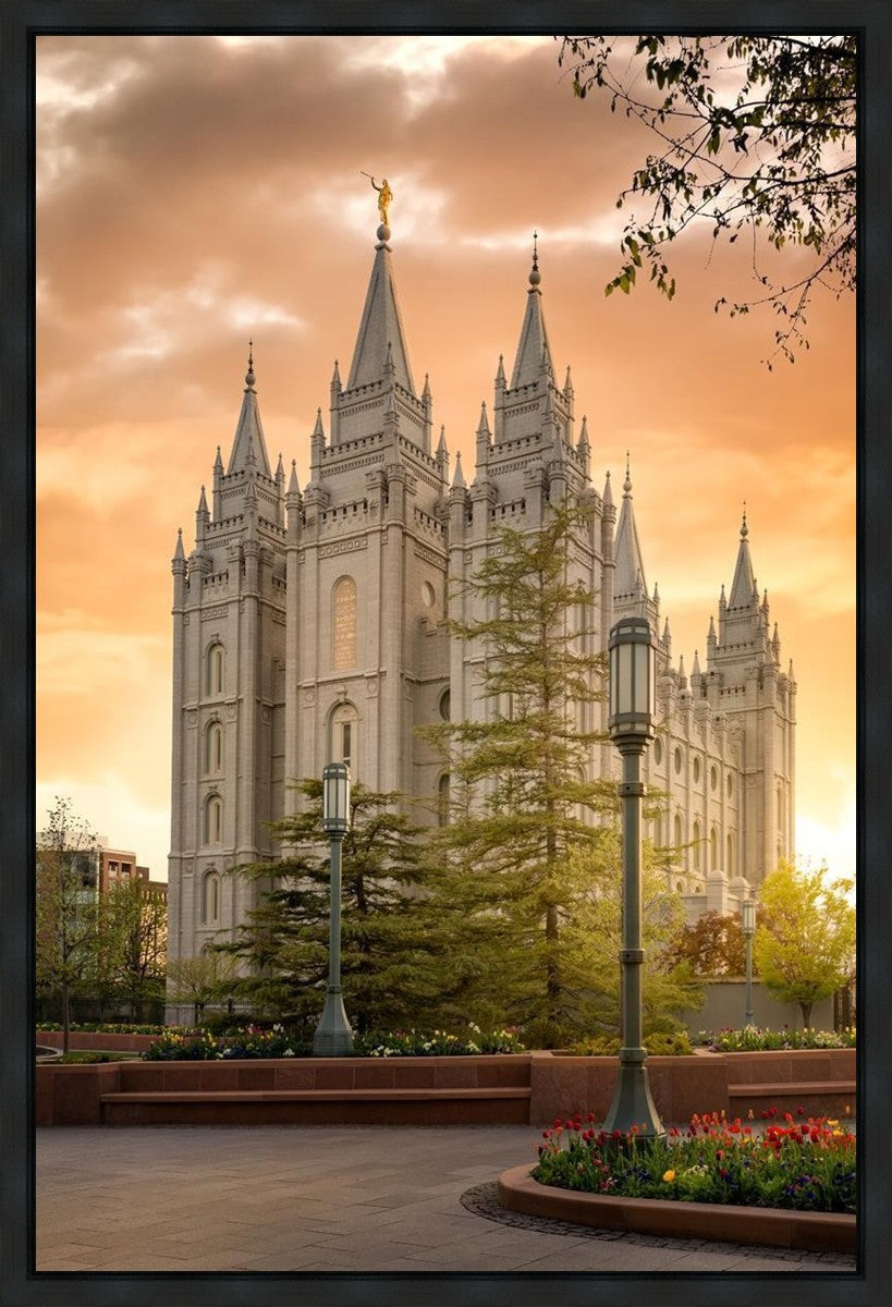 Salt Lake - The Promise Gallery Wrap