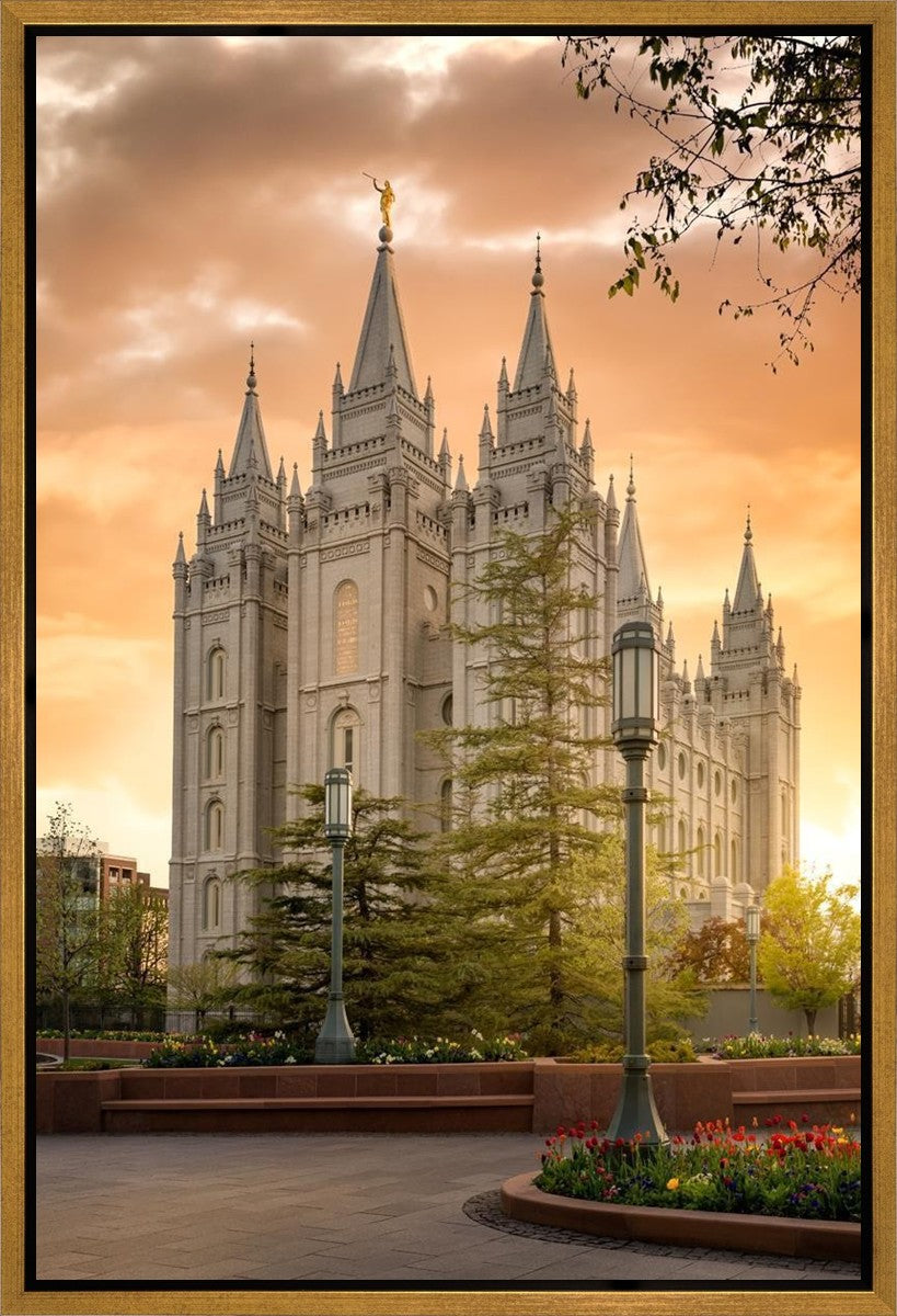 Salt Lake - The Promise Gallery Wrap