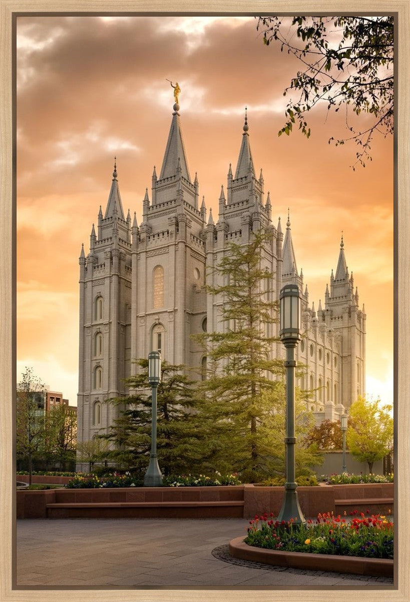 Salt Lake - The Promise Gallery Wrap