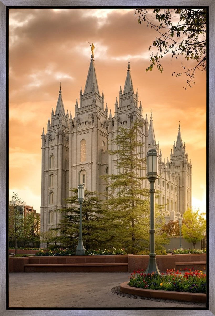 Salt Lake - The Promise Gallery Wrap