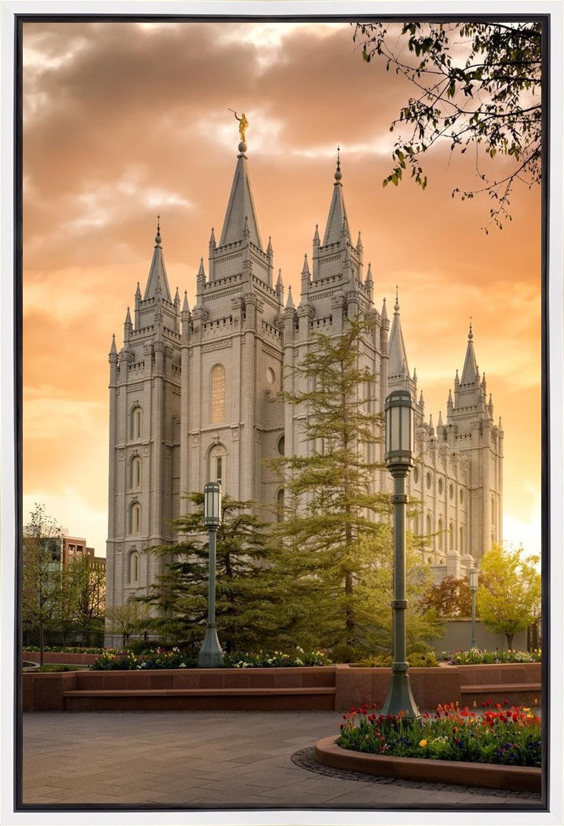 Salt Lake - The Promise Gallery Wrap