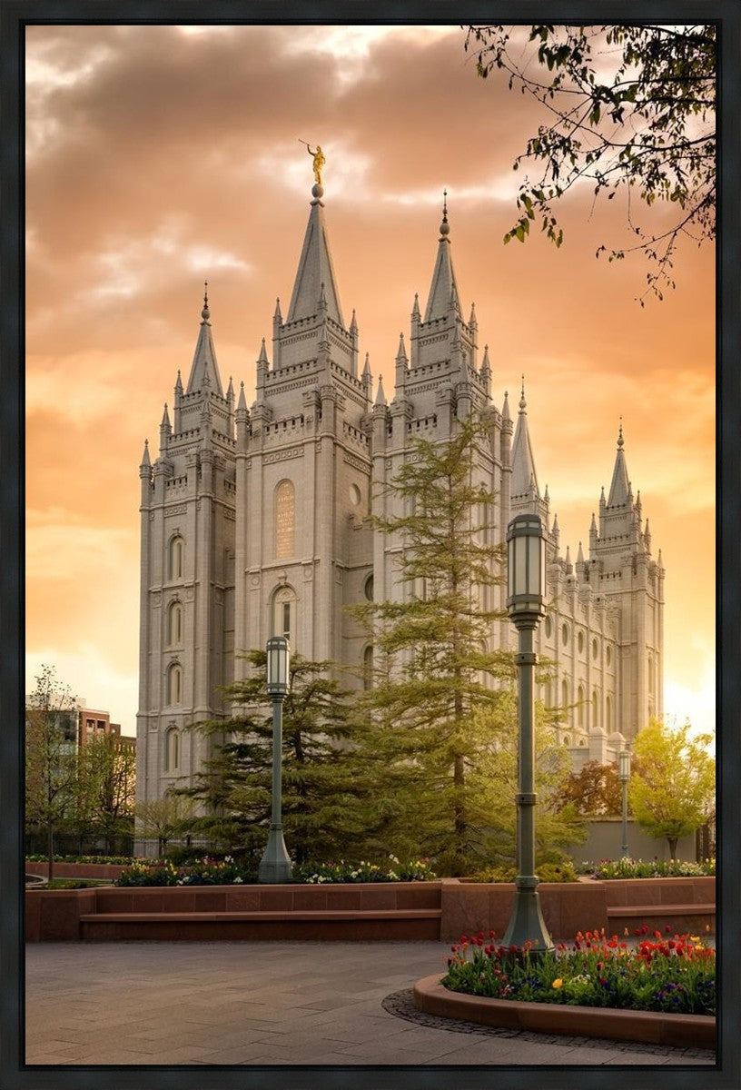 Salt Lake - The Promise Gallery Wrap