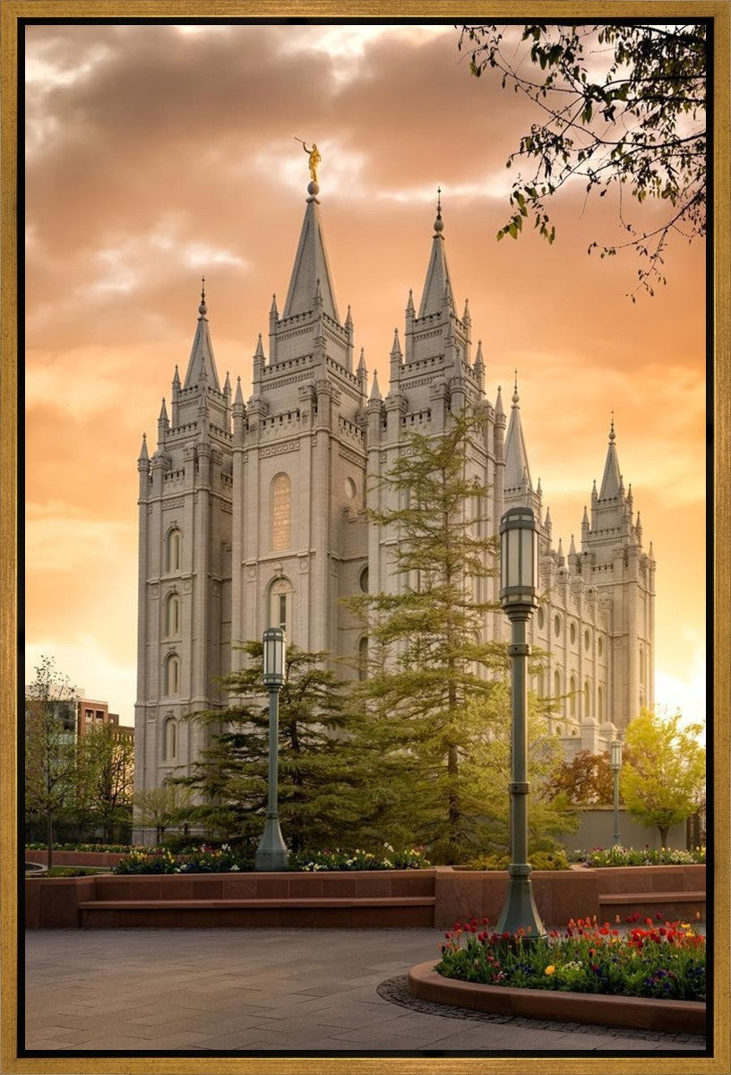Salt Lake - The Promise Gallery Wrap