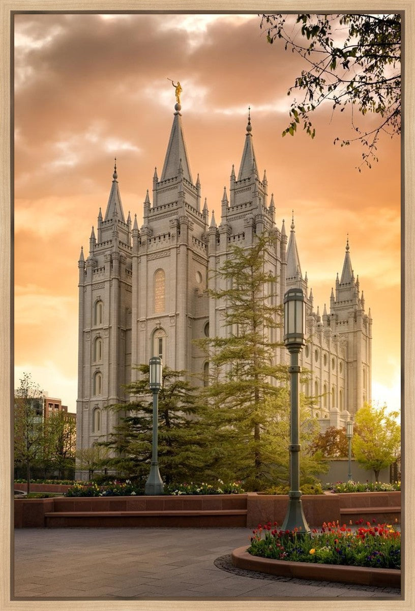 Salt Lake - The Promise Gallery Wrap