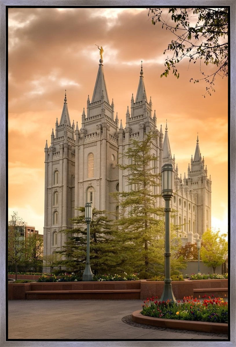 Salt Lake - The Promise Gallery Wrap