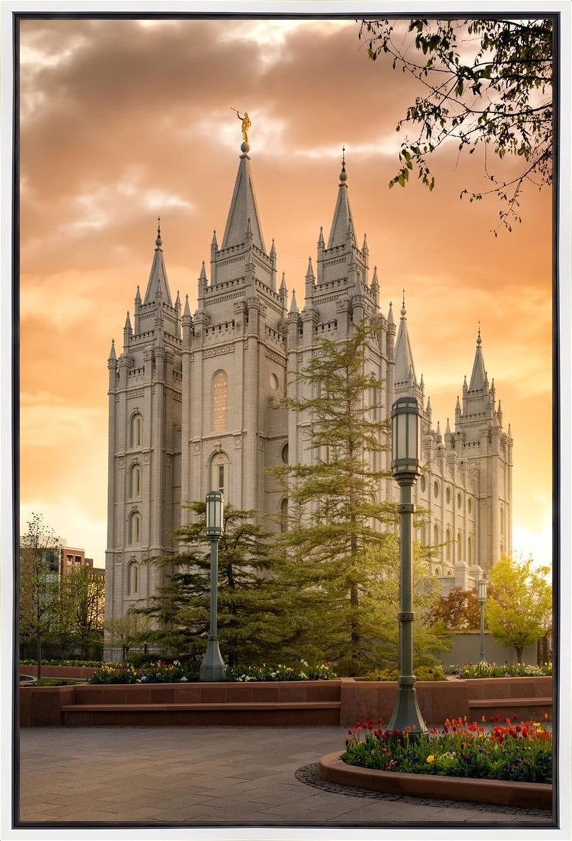 Salt Lake - The Promise Gallery Wrap