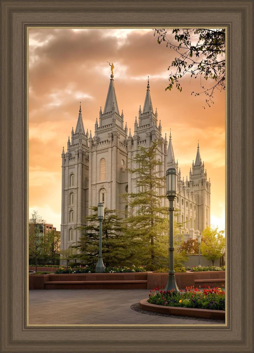 Salt Lake - The Promise