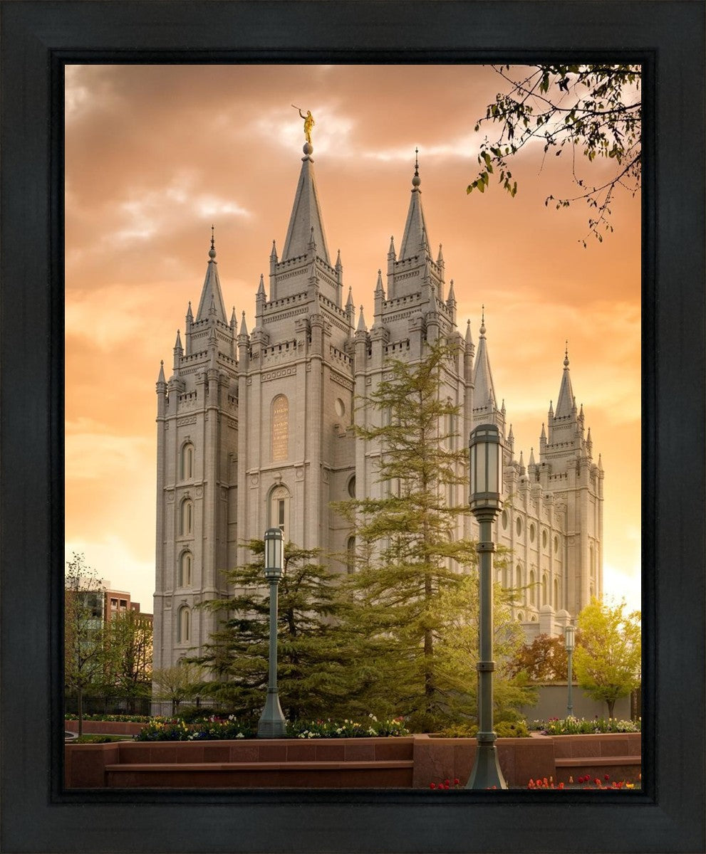 Salt Lake - The Promise Gallery Wrap