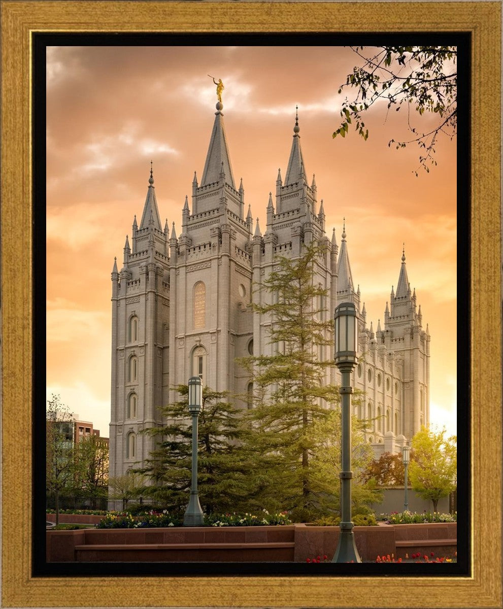Salt Lake - The Promise Gallery Wrap