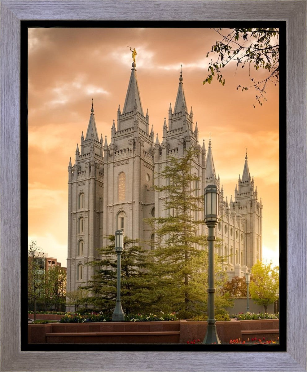 Salt Lake - The Promise Gallery Wrap