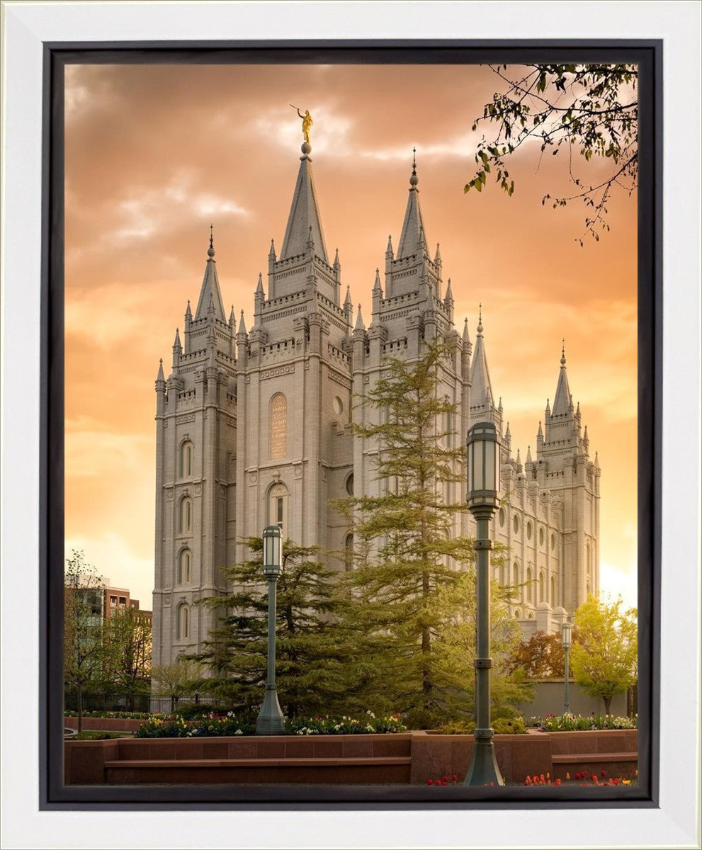Salt Lake - The Promise Gallery Wrap