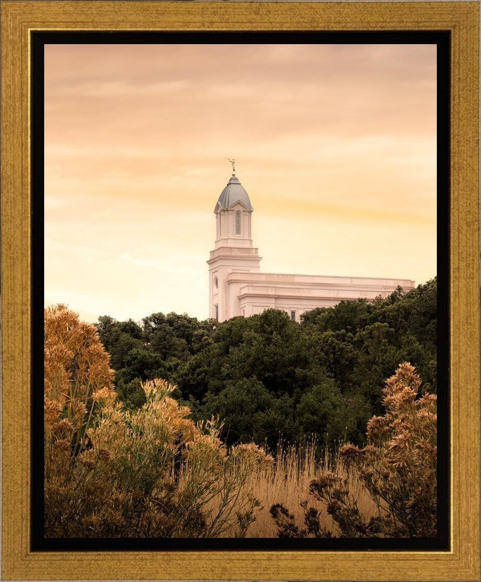 Cedar City Golden