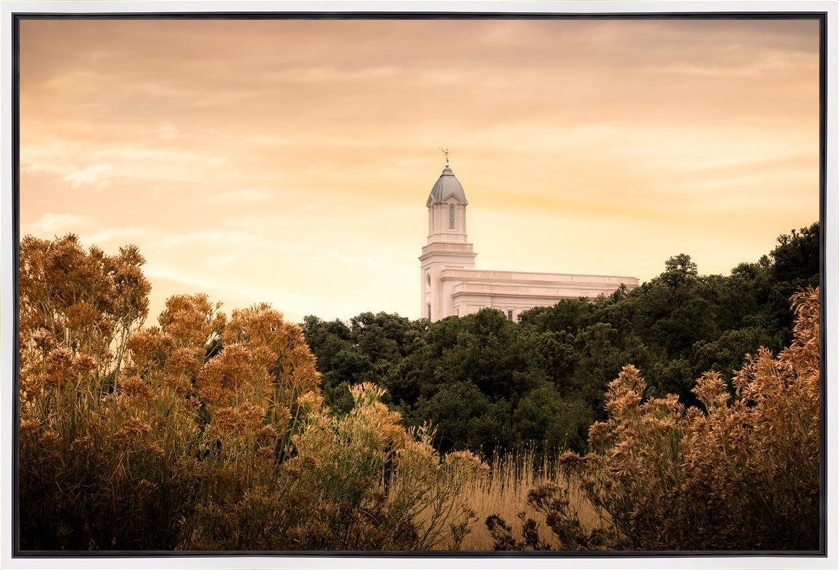 Cedar City Golden
