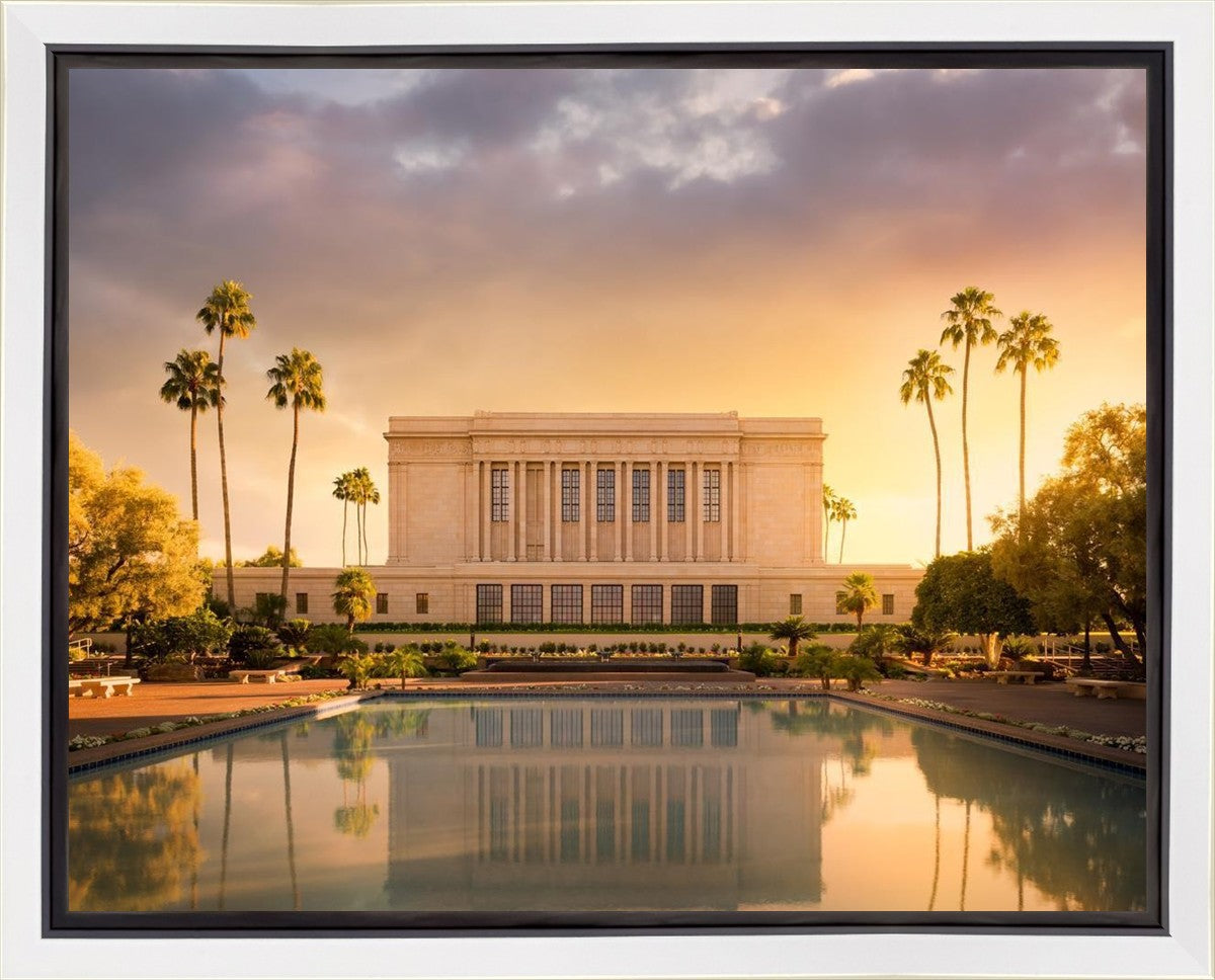 Mesa Gold Plated