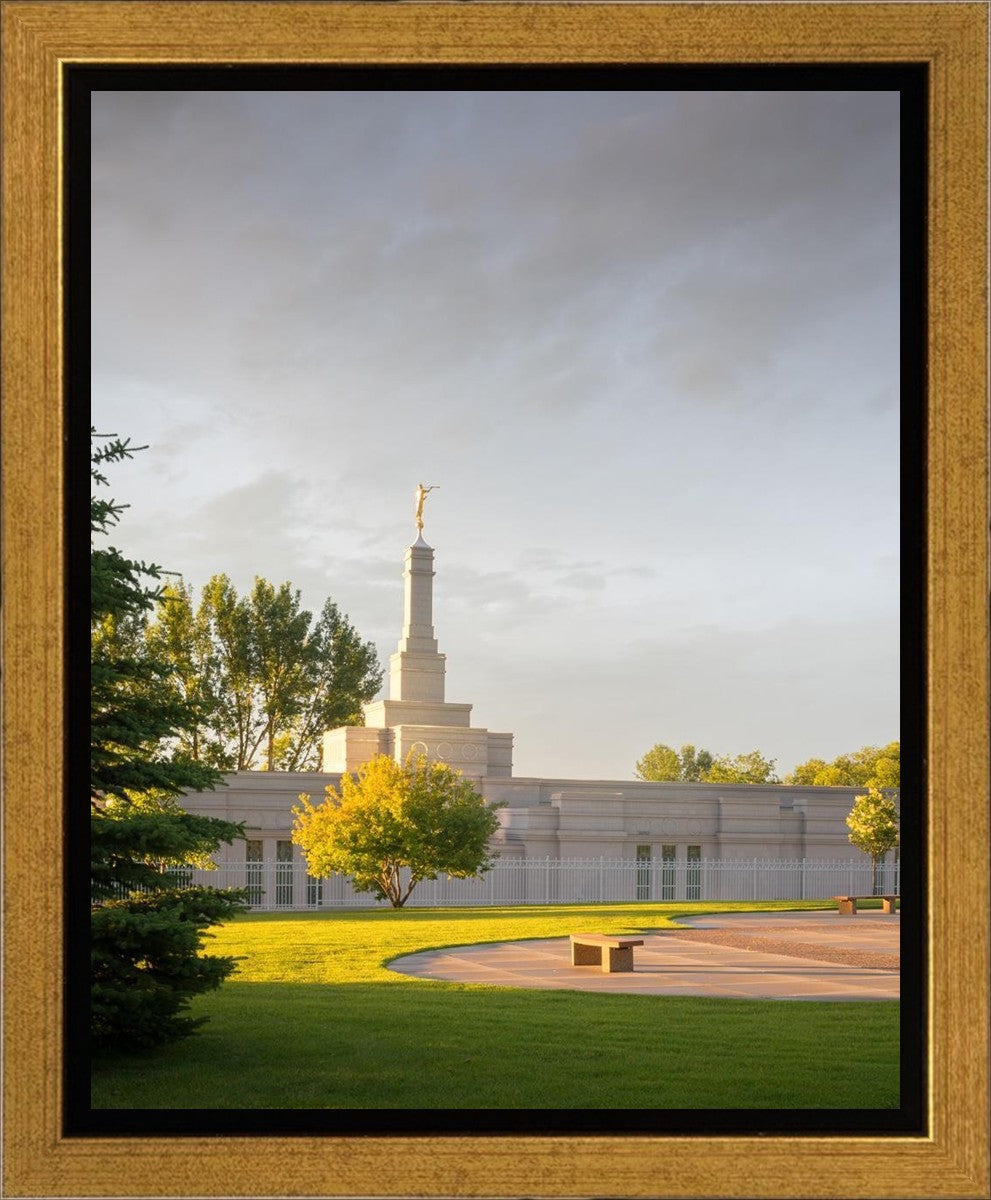 Bismarck Golden Glow Gallery Wrap