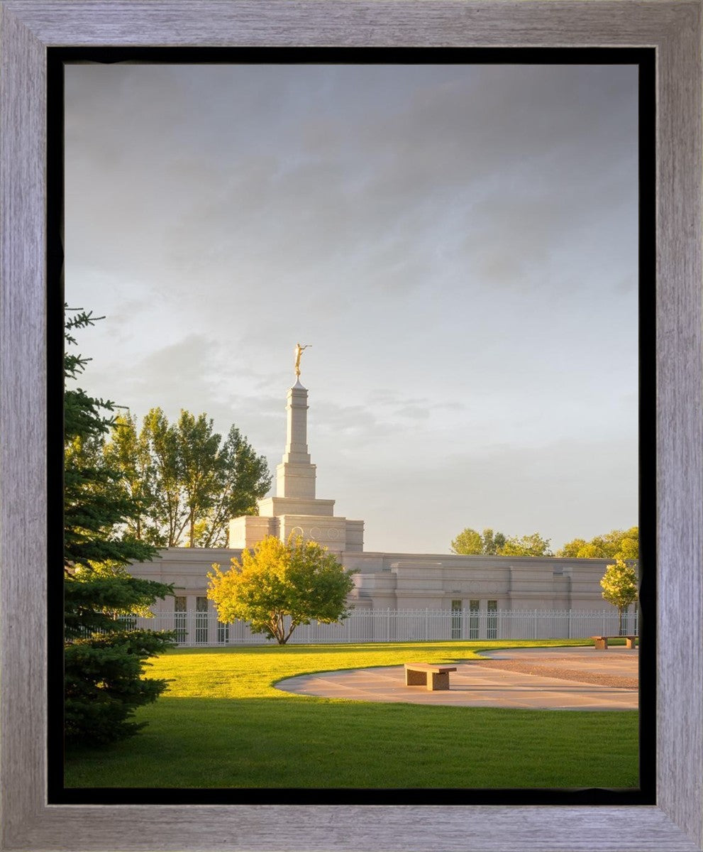Bismarck Golden Glow Gallery Wrap