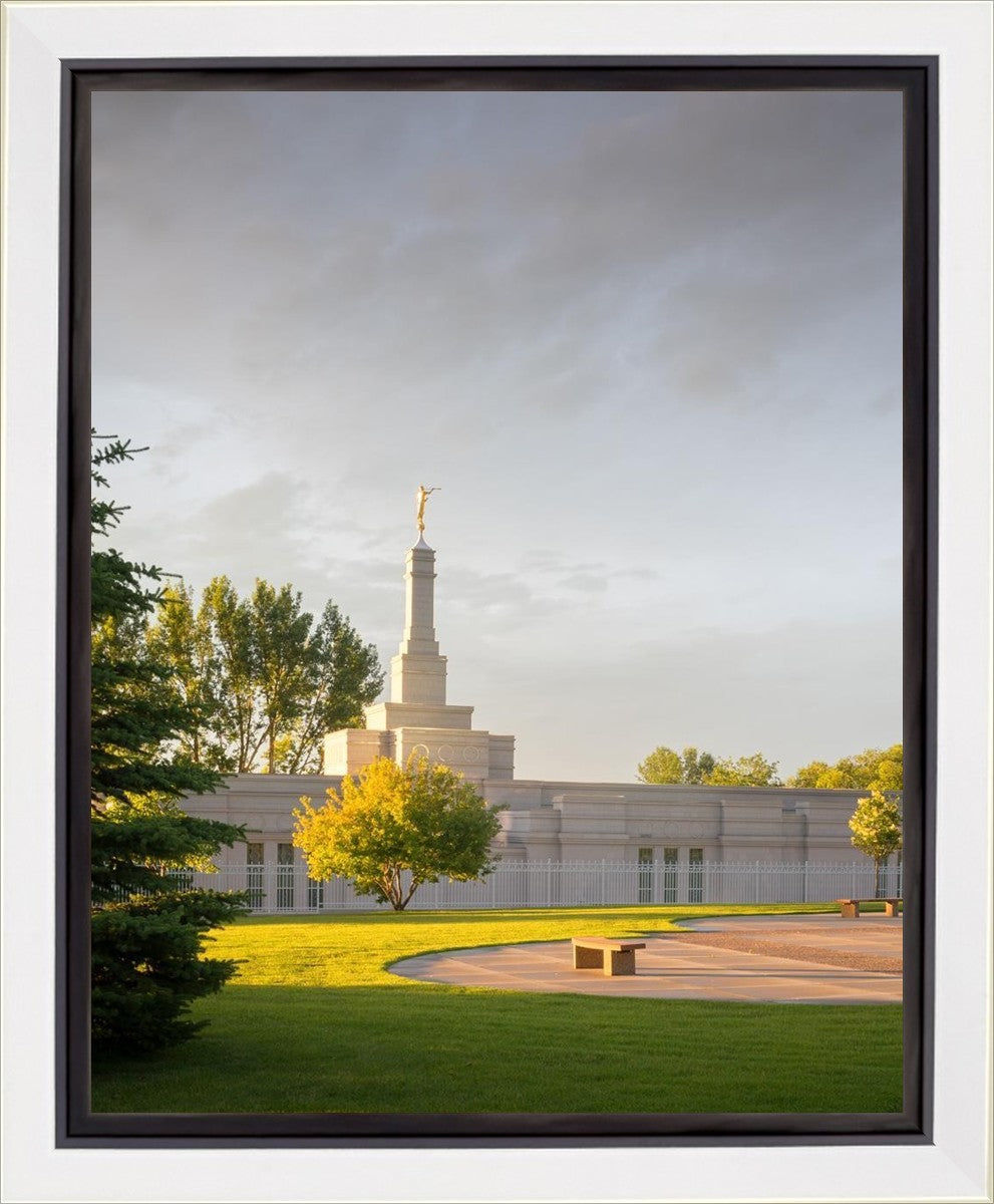 Bismarck Golden Glow Gallery Wrap