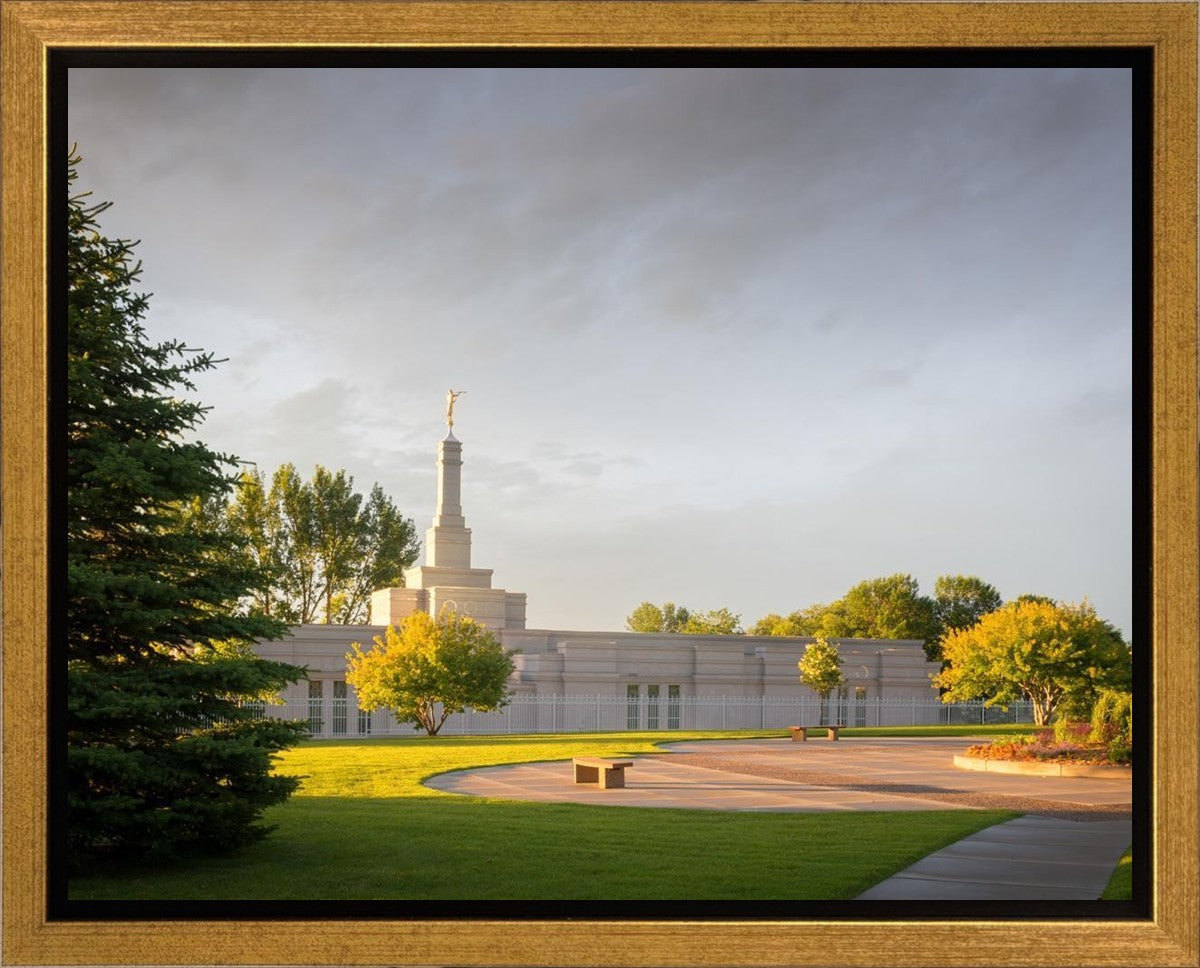 Bismarck Golden Glow Gallery Wrap