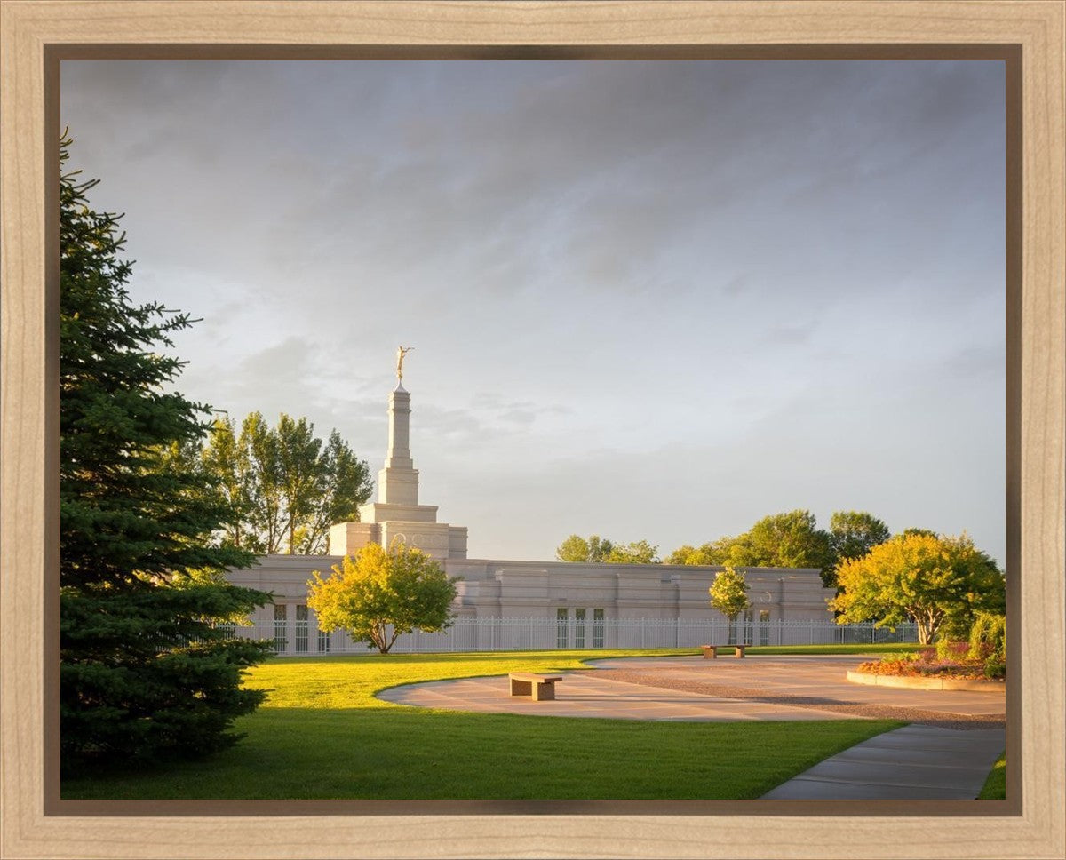 Bismarck Golden Glow Gallery Wrap