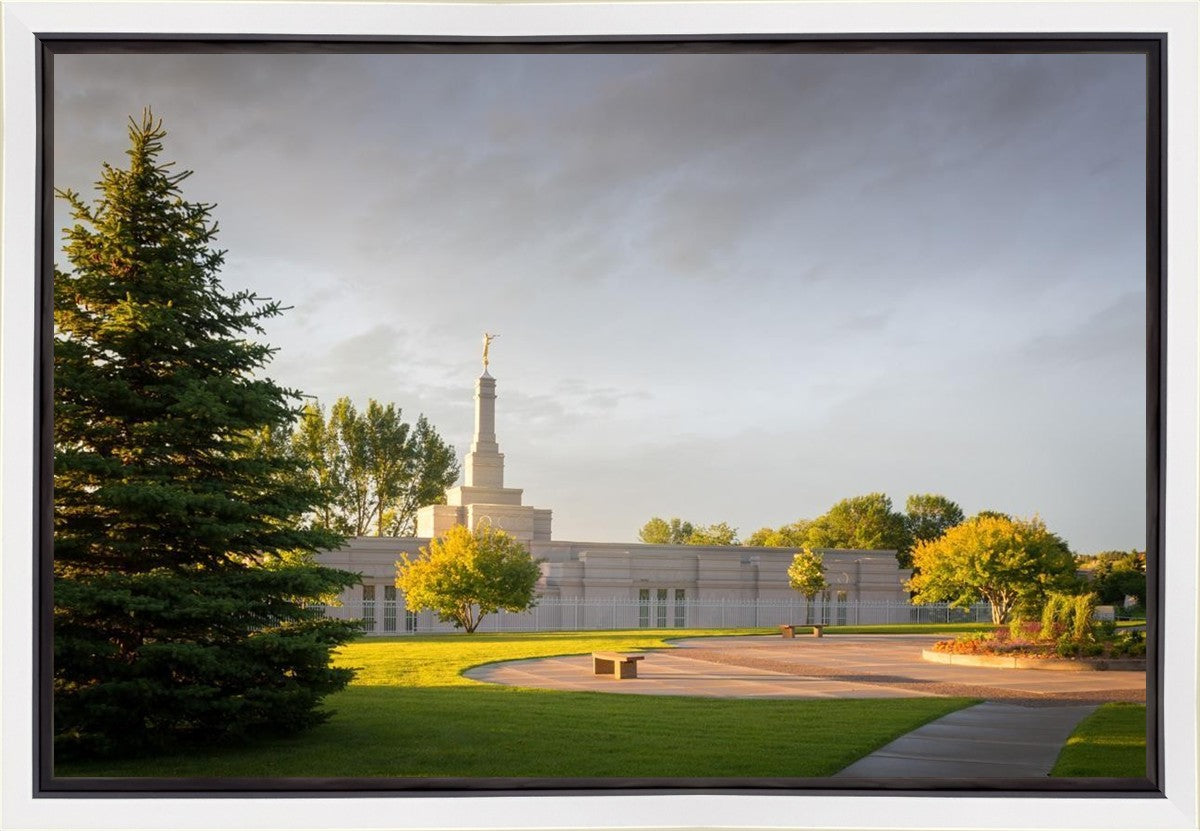 Bismarck Golden Glow Gallery Wrap