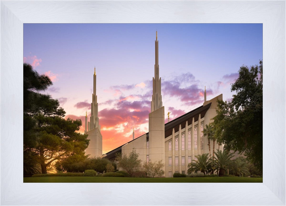 Las Vegas Desert Rose