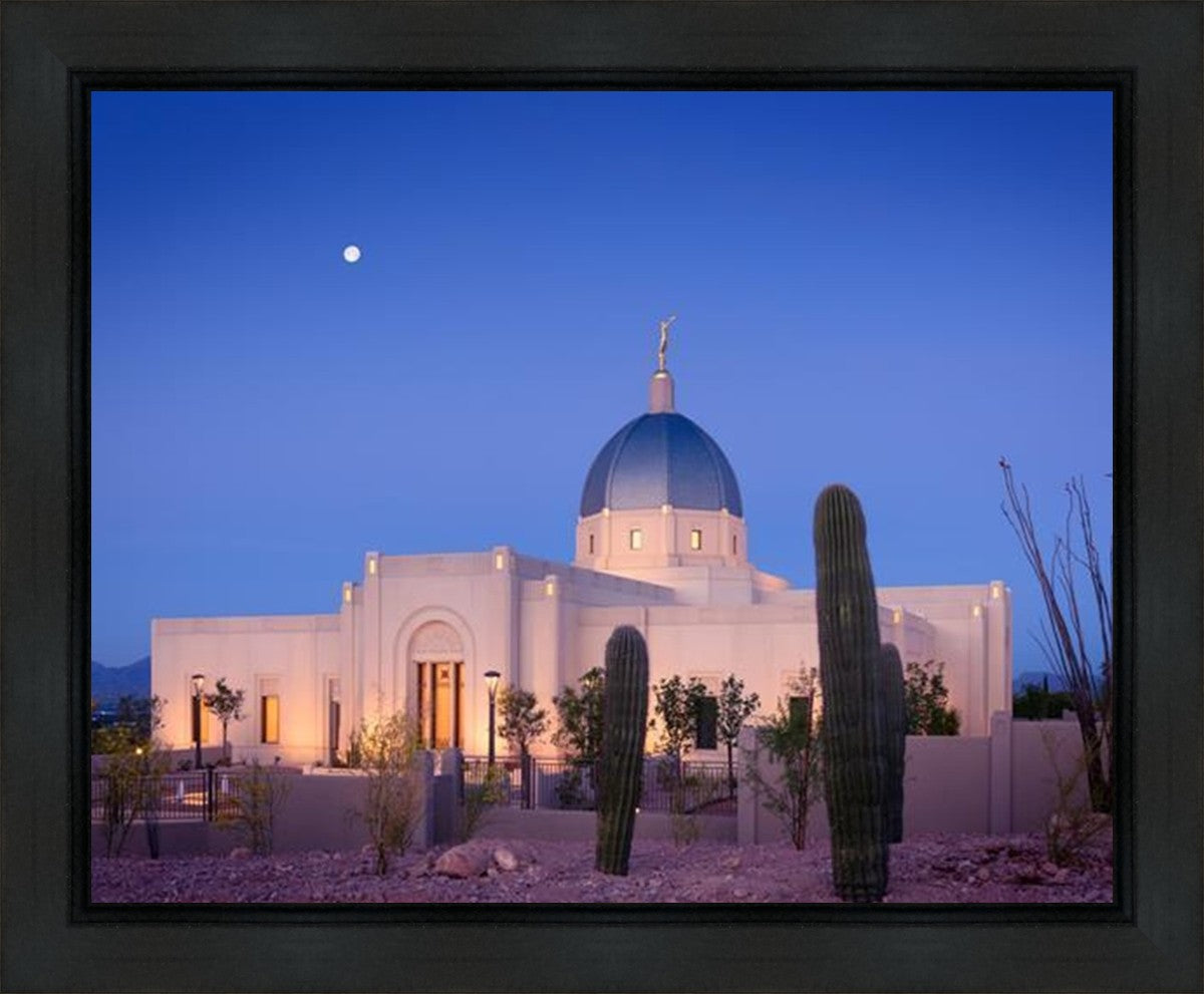 Tucson Cactus Morning Gallery Wrap