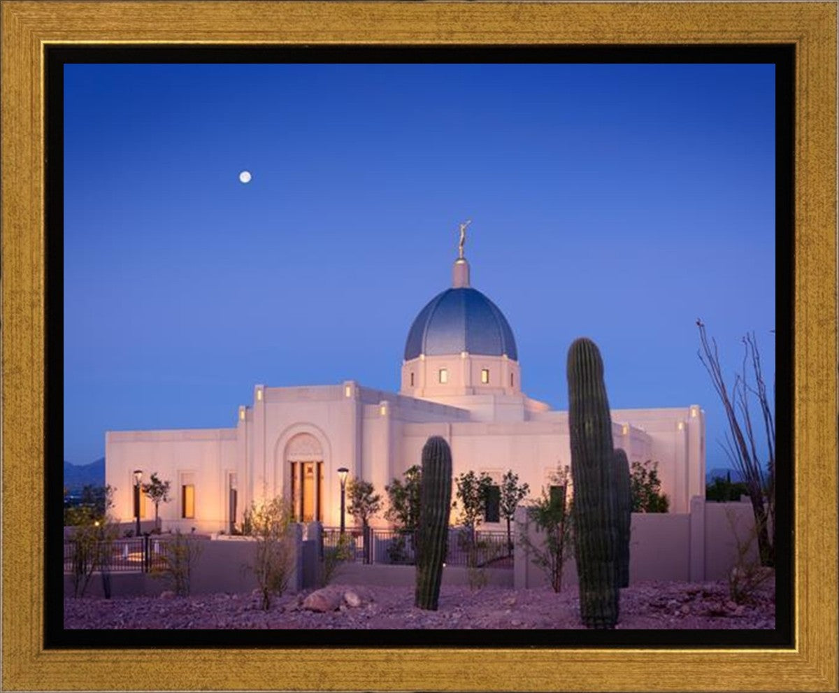 Tucson Cactus Morning Gallery Wrap
