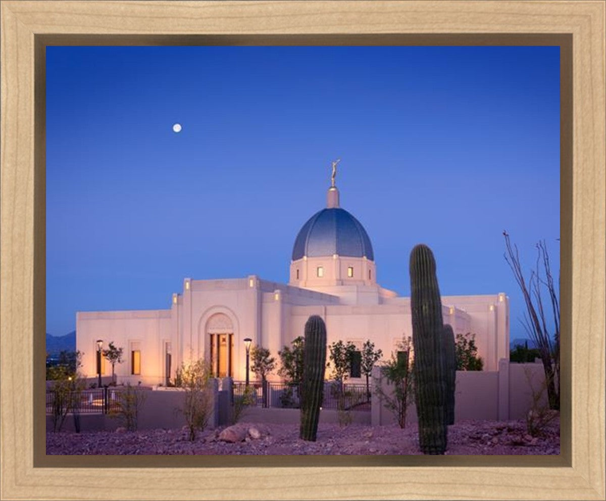 Tucson Cactus Morning Gallery Wrap