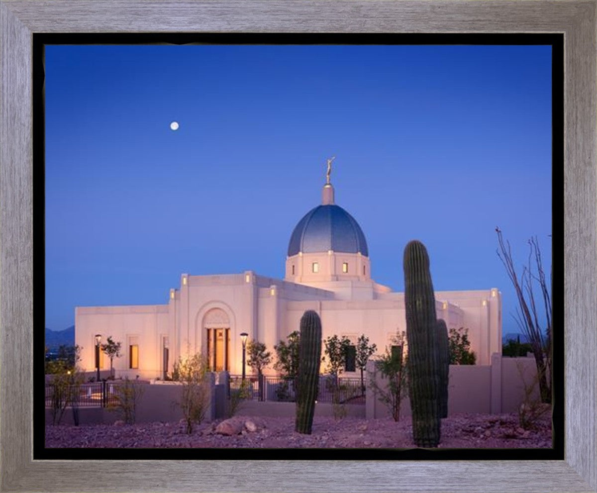 Tucson Cactus Morning Gallery Wrap