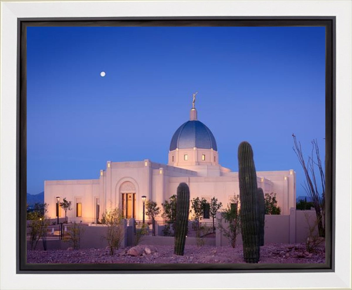Tucson Cactus Morning Gallery Wrap