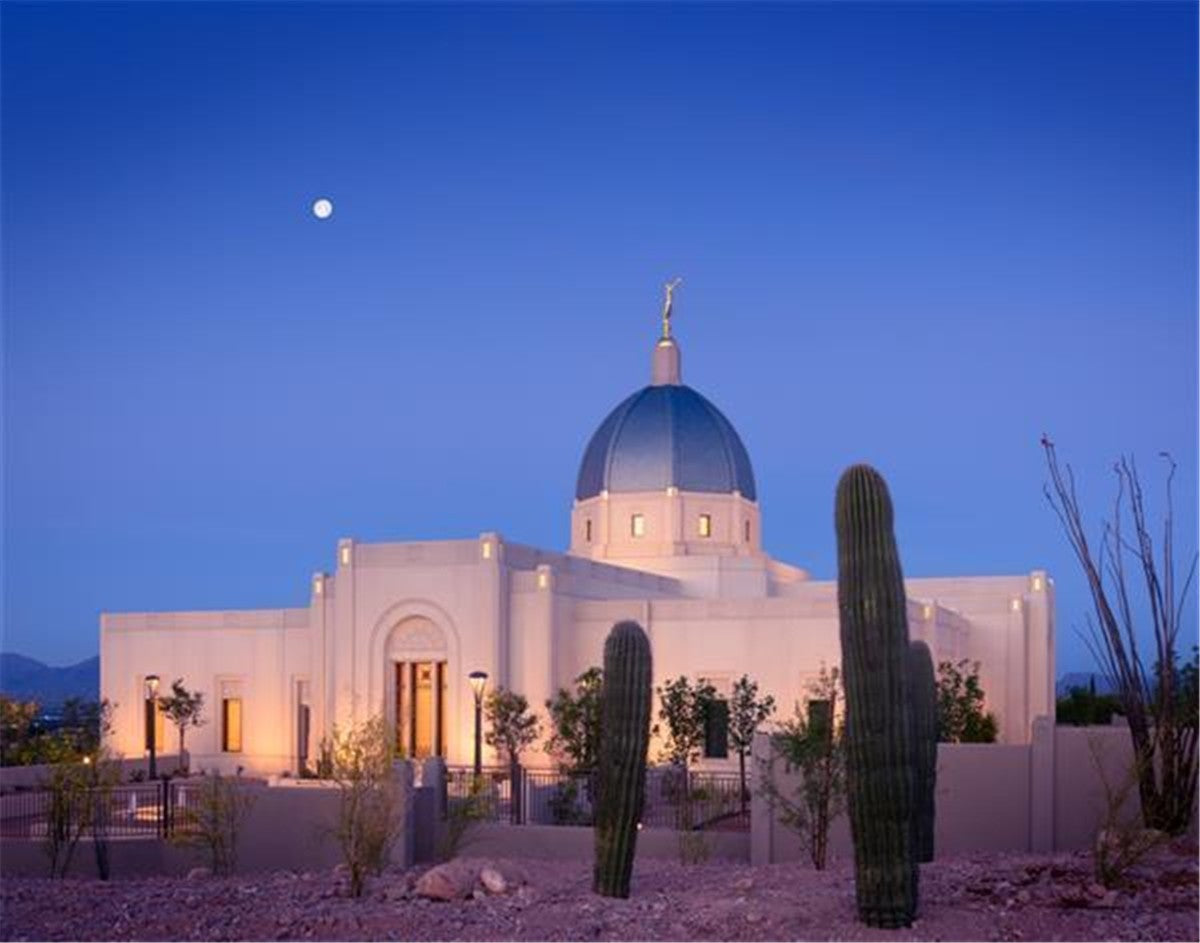 Tucson Cactus Morning Gallery Wrap